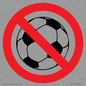 PV11752: P909 Prohibition: No ball games