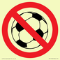 PV11752: P909 Prohibition: No ball games