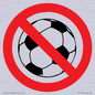 PV11752: P909 Prohibition: No ball games