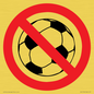 PV11752: P909 Prohibition: No ball games