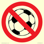 PV11752: P909 Prohibition: No ball games