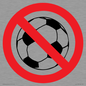 PV11752: P909 Prohibition: No ball games