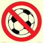 PV11752: P909 Prohibition: No ball games