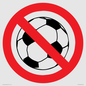 PV11752: P909 Prohibition: No ball games