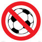 PV11752: P909 Prohibition: No ball games