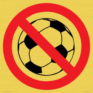 PV11752: P909 Prohibition: No ball games