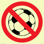PV11752: P909 Prohibition: No ball games
