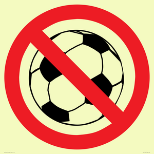PV11752: P909 Prohibition: No ball games