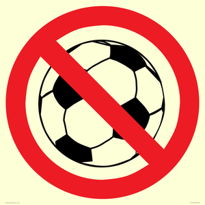 PV11752: P909 Prohibition: No ball games