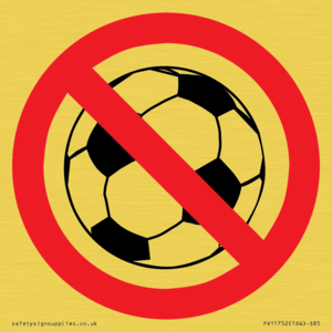 PV11752: P909 Prohibition: No ball games