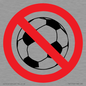 PV11752: P909 Prohibition: No ball games