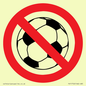 PV11752: P909 Prohibition: No ball games