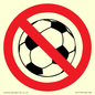 PV11752: P909 Prohibition: No ball games