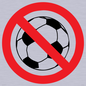 PV11752: P909 Prohibition: No ball games