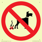 PV11766: P916 Prohibition: No dog fouling