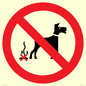 PV11766: P916 Prohibition: No dog fouling