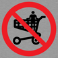 PV11784: P925 Prohibition: No standing in trolley