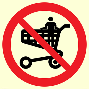 PV11784: P925 Prohibition: No standing in trolley