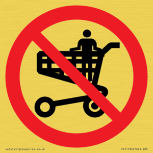 PV11784: P925 Prohibition: No standing in trolley