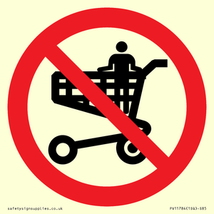 PV11784: P925 Prohibition: No standing in trolley