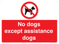PV11820: No dogs except assistance dogs