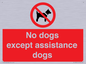 PV11820: No dogs except assistance dogs