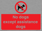 PV11820: No dogs except assistance dogs