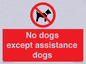 PV11820: No dogs except assistance dogs