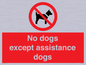 PV11820: No dogs except assistance dogs