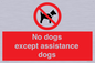 PV11820: No dogs except assistance dogs