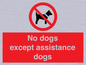 PV11820: No dogs except assistance dogs