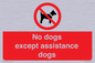 PV11820: No dogs except assistance dogs