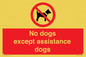 PV11820: No dogs except assistance dogs