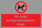 PV11820: No dogs except assistance dogs
