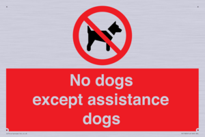 PV11820: No dogs except assistance dogs
