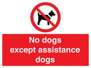 PV11820: No dogs except assistance dogs