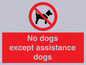 PV11820: No dogs except assistance dogs
