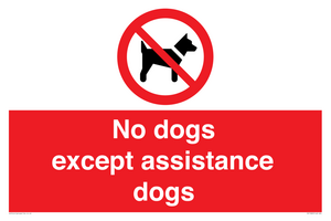 PV11820: No dogs except assistance dogs