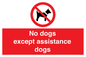 PV11820: No dogs except assistance dogs