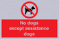 PV11820: No dogs except assistance dogs