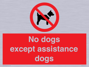 PV11820: No dogs except assistance dogs