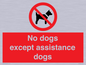 PV11820: No dogs except assistance dogs