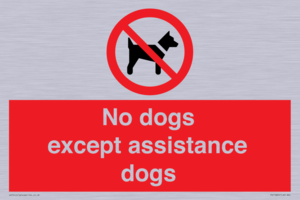 PV11820: No dogs except assistance dogs