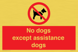 PV11820: No dogs except assistance dogs