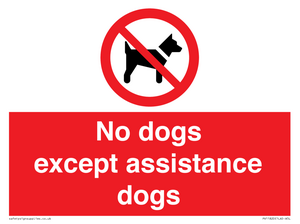 PV11820: No dogs except assistance dogs