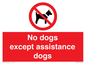 PV11820: No dogs except assistance dogs