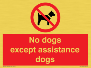 PV11820: No dogs except assistance dogs