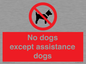 PV11820: No dogs except assistance dogs