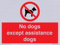 PV11820: No dogs except assistance dogs