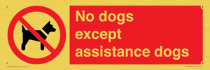 PV11820: No dogs except assistance dogs